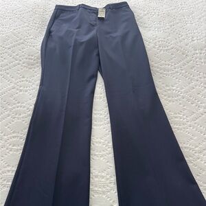 Express Pants in Navy Blue